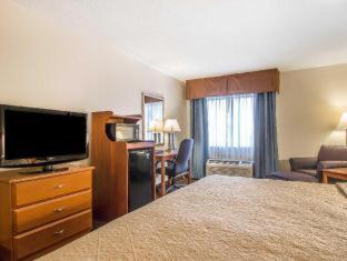 Room #48990608 at Quality Inn Morris I-80