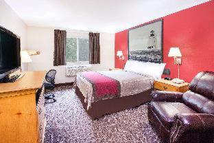 Room #51281217 at Super 8 by Wyndham West Branch