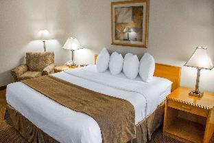 Room #49225908 at Quality Inn & Suites Longview Kelso