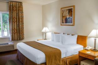 Room #49225909 at Quality Inn & Suites Longview Kelso