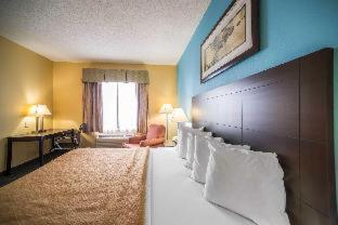Room #48987009 at Quality Inn Litchfield Route 66