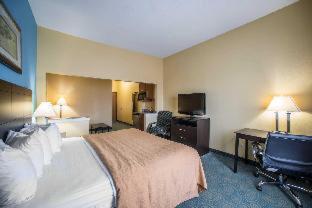 Room #48987009 at Quality Inn Litchfield Route 66
