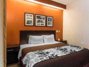 Room #49402305 at Quality Suites Lake Wright - Norfolk Airport