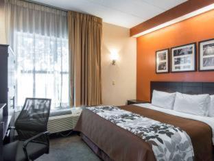 Room #49402305 at Quality Suites Lake Wright - Norfolk Airport