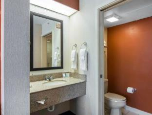 Room #49402305 at Quality Suites Lake Wright - Norfolk Airport