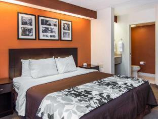 Room #49402305 at Quality Suites Lake Wright - Norfolk Airport