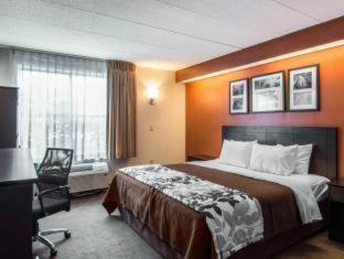 Room #49402305 at Quality Suites Lake Wright - Norfolk Airport