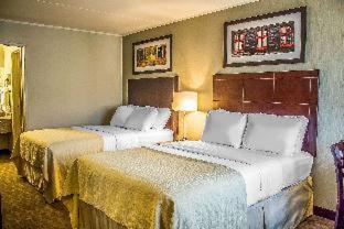 Room #51396805 at Quality Inn