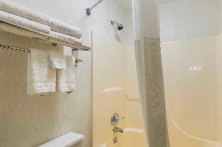 Room #48979405 at Quality Inn Waverly