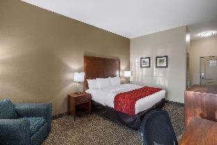 Room #24483408 at Comfort Inn & Suites Cedar Hill Duncanville