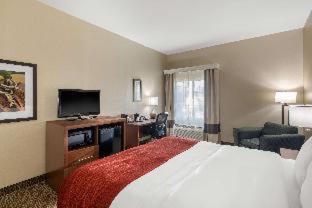 Room #24483408 at Comfort Inn & Suites Cedar Hill Duncanville