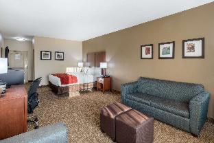 Room #24483409 at Comfort Inn & Suites Cedar Hill Duncanville