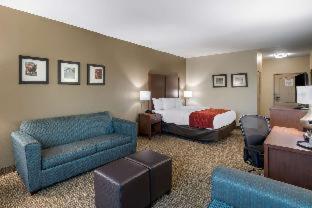 Room #24483409 at Comfort Inn & Suites Cedar Hill Duncanville