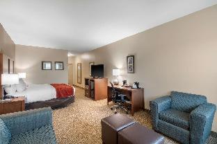 Room #24483409 at Comfort Inn & Suites Cedar Hill Duncanville