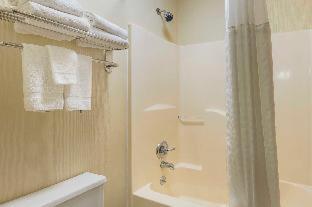 Room #48979406 at Quality Inn Waverly