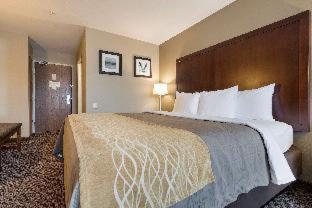 Room #29754006 at Comfort Inn Auburn - Seattle