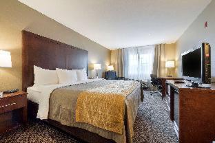 Room #29754006 at Comfort Inn Auburn - Seattle