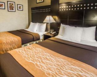 Room #57080405 at Rodeway Inn Bronx Zoo