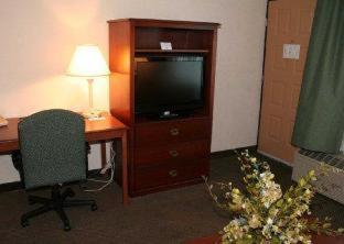 Room #48941012 at Quality Inn & Suites Tarpon Springs South