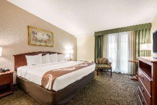 Room #48941014 at Quality Inn & Suites Tarpon Springs South
