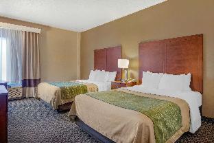 Room #49032903 at Comfort Inn Charlotte