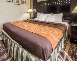 Room #57080406 at Rodeway Inn Bronx Zoo