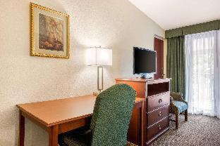 Room #48941015 at Quality Inn & Suites Tarpon Springs South