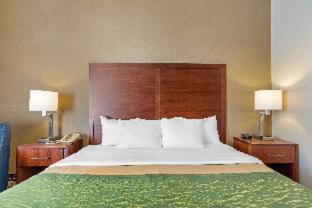 Room #49032904 at Comfort Inn Charlotte