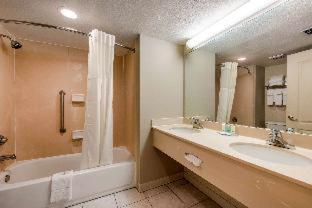 Room #48941017 at Quality Inn & Suites Tarpon Springs South