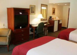 Room #48941017 at Quality Inn & Suites Tarpon Springs South