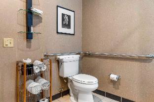Deluxe King Suite - Non-Smoking at Wyndham Noblesville