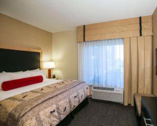 Deluxe King Suite - Non-Smoking at Wyndham Noblesville