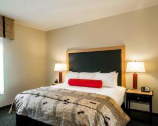 King Suite - Non-Smoking at Wyndham Noblesville