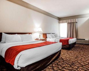 Room #49047807 at Suburban Studios Kansas City Airport North