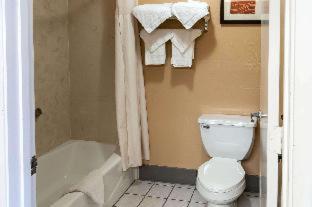Room #49184405 at Comfort Inn Conroe