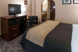 Room #49184406 at Comfort Inn Conroe