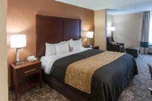 Room #49184406 at Comfort Inn Conroe