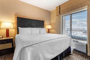 1 King Bed, Mobility/Hearing Accessible Suite, Roll-in Shower, Non-Smoking at Wyndham Noblesville
