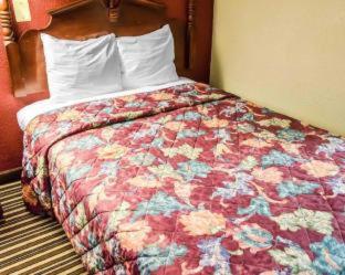 Room #49126114 at Baymont by Wyndham Pine Grove