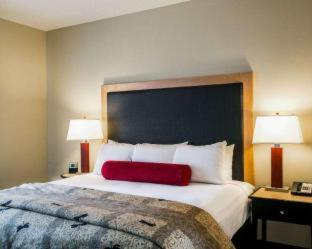 King Suite - Non-Smoking at Wyndham Noblesville