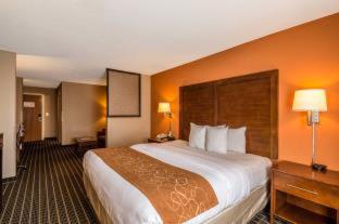 Accessible King Suite with Sofabed - Non Smoking at Atwell Suites Panama City Beach Southeast by IHG