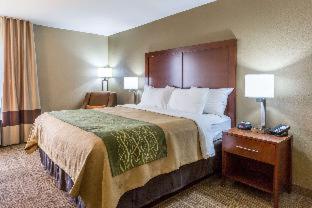 Room #48992317 at Comfort Inn Collinsville near St. Louis
