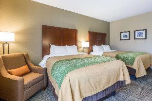 Room #48992314 at Comfort Inn Collinsville near St. Louis