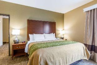 Room #48992315 at Comfort Inn Collinsville near St. Louis