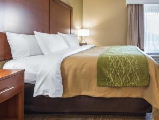 Room #48992315 at Comfort Inn Collinsville near St. Louis