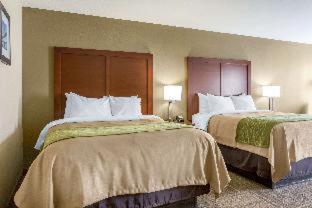 Room #48992316 at Comfort Inn Collinsville near St. Louis