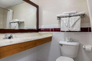 Room #127069709 at Quality Inn & Suites