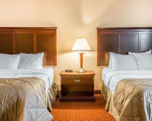 Room #5942713 at Clarion Inn and Suites Airport