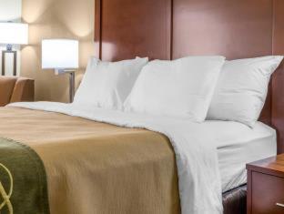 Room #48992317 at Comfort Inn Collinsville near St. Louis