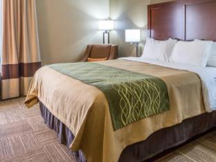 Room #48992317 at Comfort Inn Collinsville near St. Louis